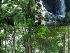 -南山植物园