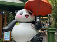 -轩客会(熊猫书店)
