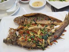 -陆记鹅庄·潮汕菜·狮头鹅(大仟里店)