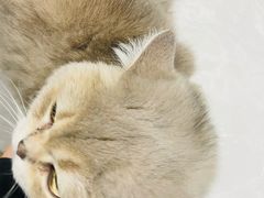 -中农国际动物医院24小时·猫科·骨科·急重症中心
