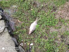 -艾溪湖湿地公园