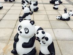 -南戴河国际娱乐中心