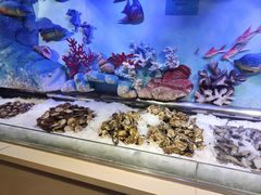 -比尔森韩式烤肉自助(国商店)