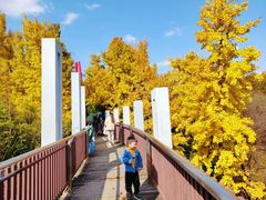 -宝界山林公园
