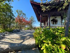 -上海滨江森林公园