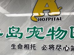 -半岛宠物医院24小时(白果林店)