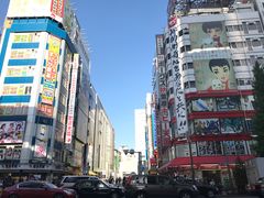 -秋叶原电器街