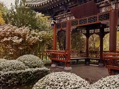 -迎泽公园