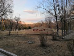 -黑龙江大学