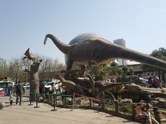 -陕西自然博物馆