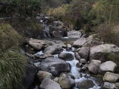 -紫鹊界梯田景区
