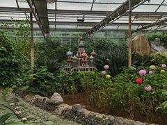 -南宫五洲植物乐园