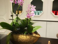 -翠府(翠湖北路店)
