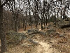 -北京鹫峰国家森林公园