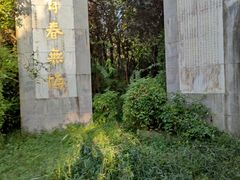 -东平国家森林公园