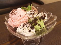 -猫友咖啡店(玉林西路店)