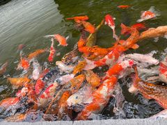 -广州人民艺术中心