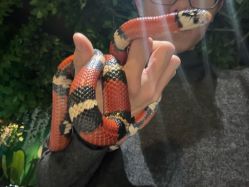 -酷嗒动物文化乐园(cutezoo西溪乐天城店)