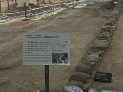 -南越王博物院(王宫展区)
