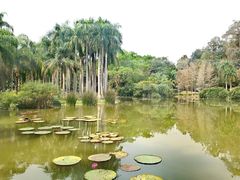 -中国科学院西双版纳热带植物园