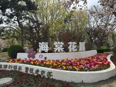 -元大都城垣遗址公园