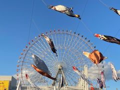 -大阪海游馆