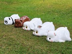 -云溪植物园