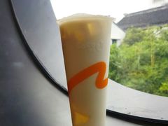 -CoCo都可(鹿泉北国商城店)