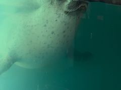 -梦幻海洋王国(吾悦广场张家港店)