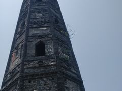 -上海佘山国家森林公园天马山园