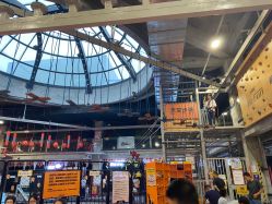 -嗨翻Hi-Fun竞技主题乐园·蹦床团建生日聚会(五棵松华熙店)