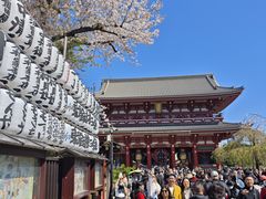 -浅草寺