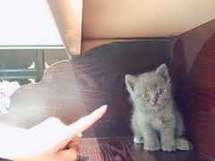-花样年华游泳馆·游泳培训基地
