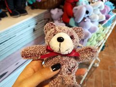 -济州岛泰迪熊博物馆