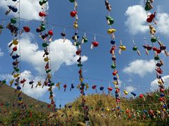 -西双版纳原始森林公园