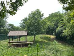 -扬州市茱萸湾风景区