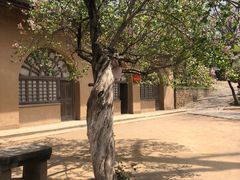 -延安杨家岭革命旧址