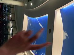 -云中小雅