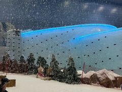 -广州热雪奇迹
