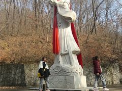 -天女山森林公园