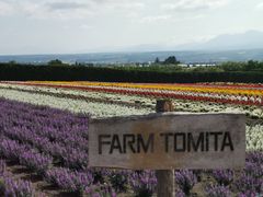 -富田农场