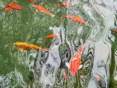 -趵突泉景区