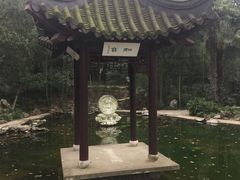 -镇江市南山风景名胜区竹林景区