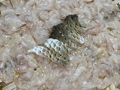 -官塘陈记鱼生·潮汕砂锅粥·牛肉火锅(潮枫路总店)