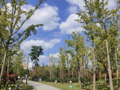 -狼山风景名胜区