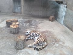 -西安秦岭野生动物园