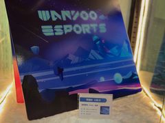 -网鱼电竞(广州百脑汇店)