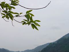 -乌江画廊(彭水苗族土家族自治县)