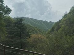 -王顺山国家森林公园