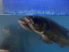 -香山湖渔家大院